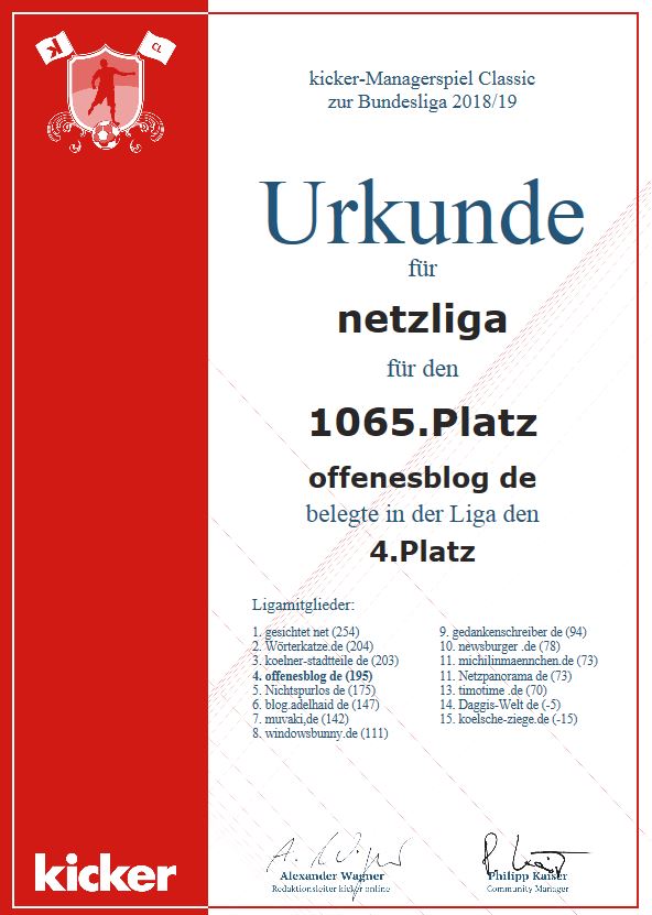 netzliga Saison 2018/19 Urkunde